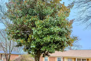 6 Crofton Dr, Greenville, SC 29605 - Photo 10