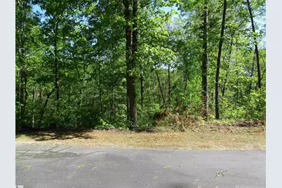 216 Gabriel Way, Pickens, SC 29671 - Photo 6