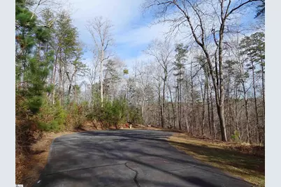 216 Gabriel Way, Pickens, SC 29671 - Photo 4