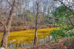 763 Enoree River Pl, Greer, SC 29651 - Photo 46
