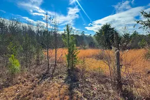 545 Edens Rd, Pickens, SC 29671 - Photo 20