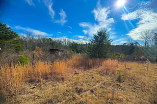 545 Edens Rd, Pickens, SC 29671 - Photo 14