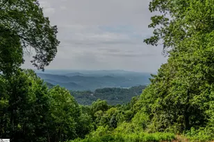 42 Wild Magnolia Way, Zirconia, NC 28790 - Photo 2