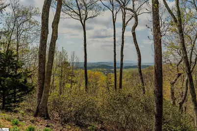202 Eagle Rock Road, Landrum, SC 29356 - Photo 4