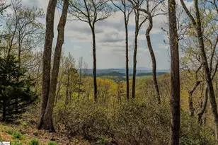202 Eagle Rock Rd, Landrum, SC 29356 - Photo 2