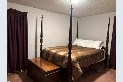 207 Alpine Way, Greenville, SC 29609 - Photo 10