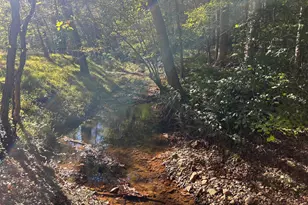 994 Chestnut Ridge Rd, Gaffney, SC 29340 - Photo 18