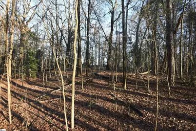 0 Pamela Lane, Laurens, SC 29360 - Photo 8