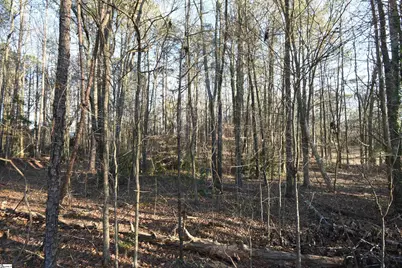 0 Pamela Lane, Laurens, SC 29360 - Photo 2