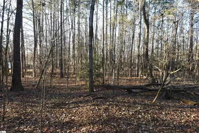 0 Pamela Lane, Laurens, SC 29360 - Photo 10