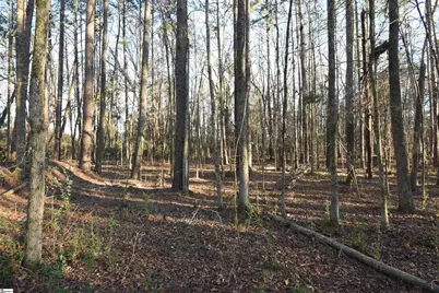 0 Pamela Lane, Laurens, SC 29360 - Photo 4