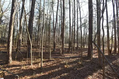 0 Pamela Lane, Laurens, SC 29360 - Photo 6