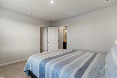 325 Cinerea Way, Greer, SC 29651 - Photo 14