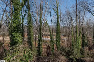 40 Kirkwood Ln, Greenville, SC 29607 - Photo 38