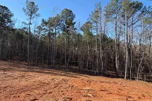 173 Susans Rd, Gaffney, SC 29341 - Photo 24