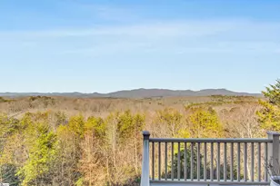 420 Packs Mountain Ridge Rd, Taylors, SC 29687 - Photo 8