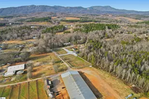 3474 414 Hwy, Landrum, SC 29356 - Photo 34