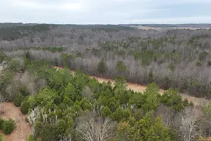 615 Generostee Church Rd, Starr, SC 29684 - Photo 8