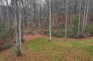 615 Generostee Church Rd, Starr, SC 29684 - Photo 4