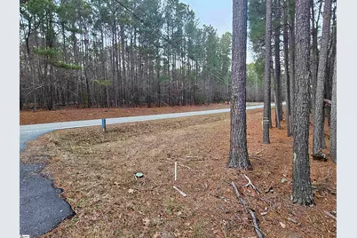 0 Hollands Landing Road, Prosperity, SC 29127 - Photo 1