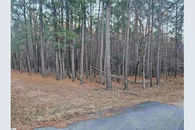 0 Hollands Landing Road, Prosperity, SC 29127 - Photo 2