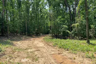 211 Gerald Dr, Simpsonville, SC 29681 - Photo 1