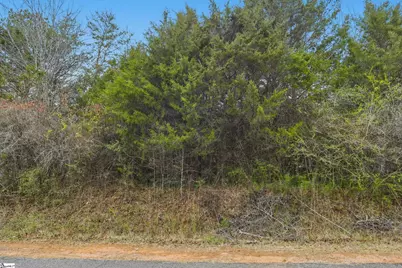 0 Hulon Howard Road, Landrum, SC 29356 - Photo 4