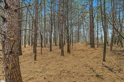 0 Hulon Howard Road, Landrum, SC 29356 - Photo 8