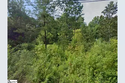 00 Caroline Street, Laurens, SC 29360 - Photo 2