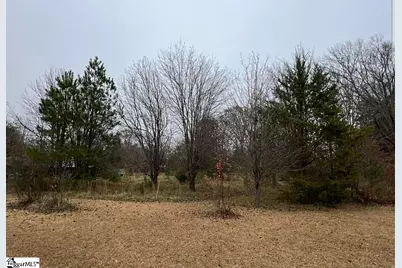 00 Blakely Avenue, Laurens, SC 29360 - Photo 8
