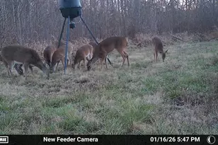 780 Oak Hill Ln, Belton, SC 29627 - Photo 38