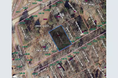 148 Douglas Road, Waterloo, SC 29384 - Photo 2