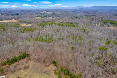 0000028A Tubbs Mountain Road, Travelers Rest, SC 29690 - Photo 10