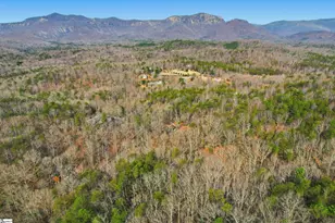 113 Aartun Alley, Pickens, SC 29671 - Photo 34