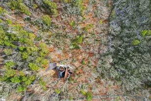 113 Aartun Alley, Pickens, SC 29671 - Photo 36