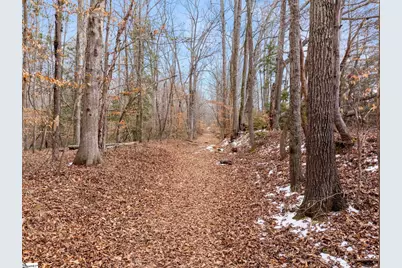 1709 River Road, Woodruff, SC 29388 - Photo 16