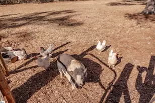 101 Callaham Dr, Belton, SC 29627 - Photo 12