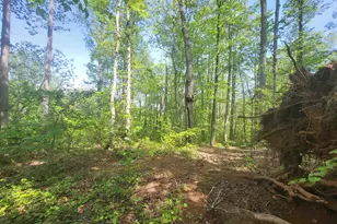 121 Laurel Valley Way, Travelers Rest, SC 29690 - Photo 1