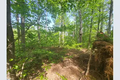 121 Laurel Valley Way, Travelers Rest, SC 29690 - Photo 4