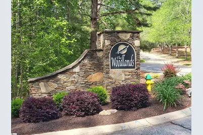 121 Laurel Valley Way, Travelers Rest, SC 29690 - Photo 2