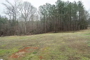 1583 Old Pacolet Rd, Spartanburg, SC 29307 - Photo 4