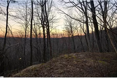 12 Hideaway Hill Way, Landrum, SC 29356 - Photo 8