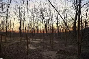 12 Hideaway Hill Way, Landrum, SC 29356 - Photo 10