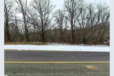 90 Eagle Rock Road, Landrum, SC 29356 - Photo 18