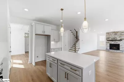 118 Terpack Court, Gray Court, SC 29645 - Photo 14