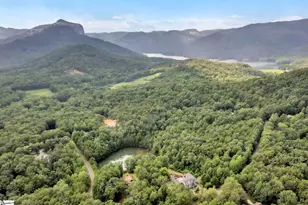 214 Raven Cliff Rd, Cleveland, SC 29635 - Photo 42