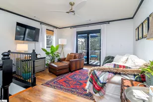 16 Tabor St, Greenville, SC 29609 - Photo 22