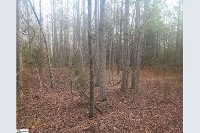 [Address not provided], Waterloo, SC 29384 - Photo 4