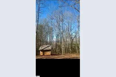 196 Old Boswell Road, Travelers Rest, SC 29690 - Photo 10