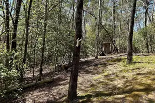 107 Brendart Hill Rd, Sunset, SC 29685 - Photo 40